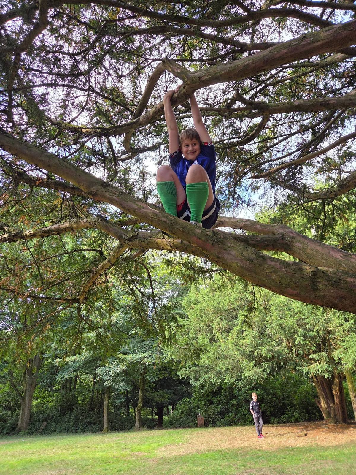 A camper climbing a tree at camp